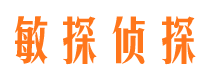 贺兰市调查取证